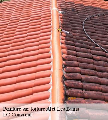 Peinture sur toiture