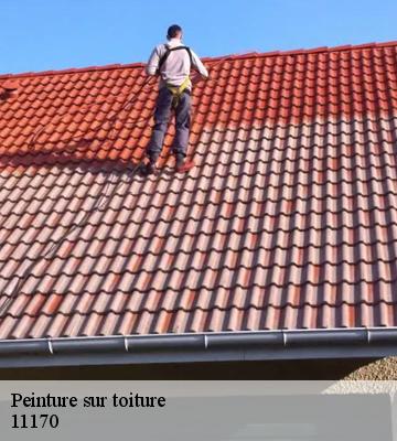 Peinture sur toiture