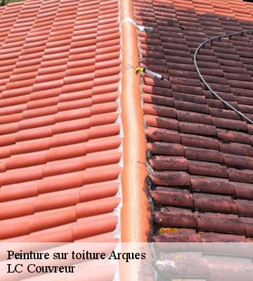 Peinture sur toiture