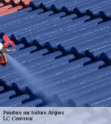 Peinture sur toiture