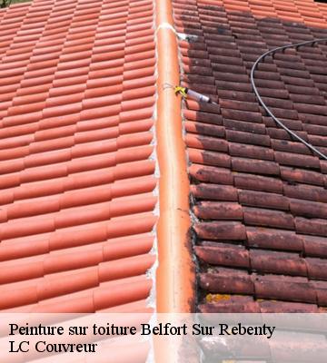 Peinture sur toiture