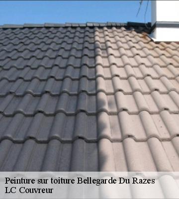 Peinture sur toiture