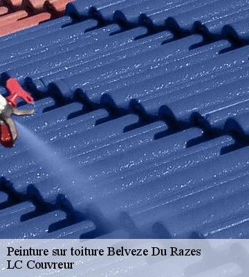 Peinture sur toiture