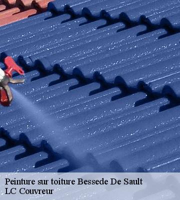 Peinture sur toiture