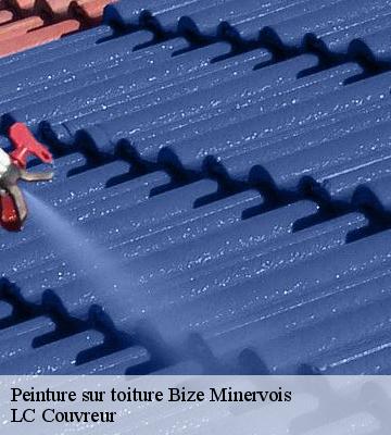Peinture sur toiture