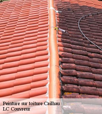 Peinture sur toiture