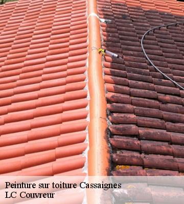 Peinture sur toiture