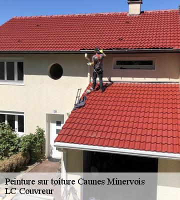 Peinture sur toiture