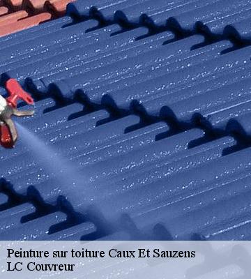 Peinture sur toiture