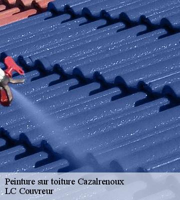 Peinture sur toiture