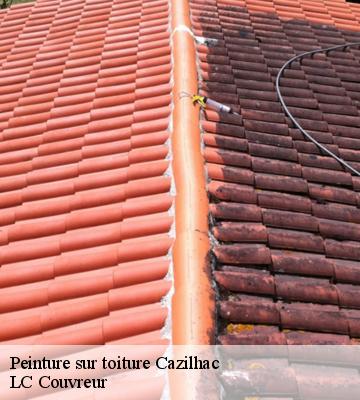 Peinture sur toiture