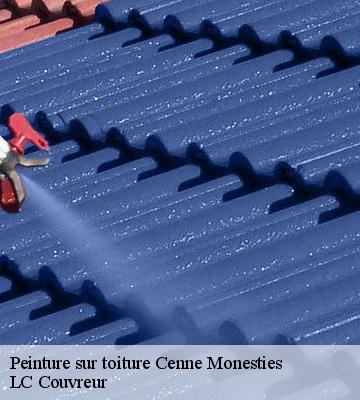 Peinture sur toiture