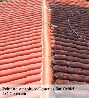 Peinture sur toiture