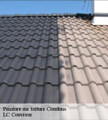Peinture sur toiture