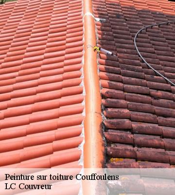 Peinture sur toiture