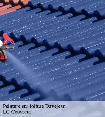 Peinture sur toiture