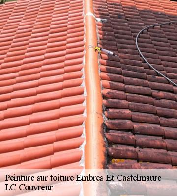 Peinture sur toiture