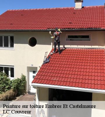 Peinture sur toiture