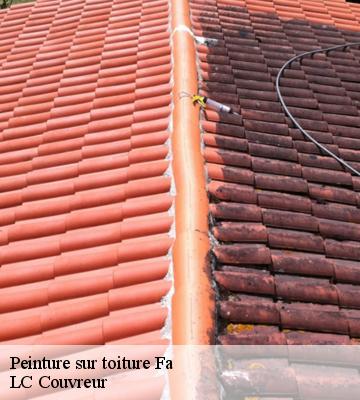 Peinture sur toiture