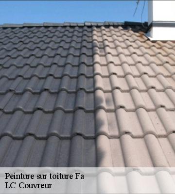 Peinture sur toiture