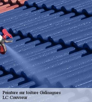 Peinture sur toiture