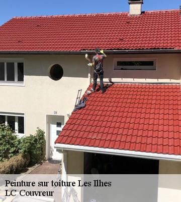 Peinture sur toiture
