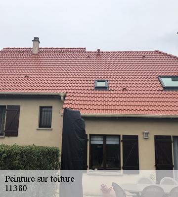Peinture sur toiture