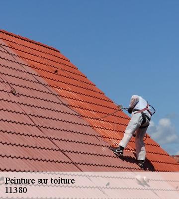 Peinture sur toiture