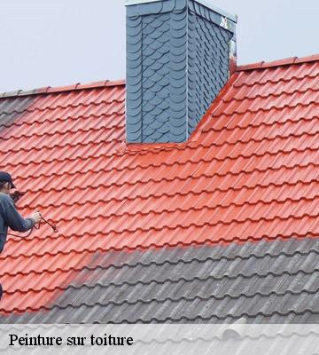 Peinture sur toiture
