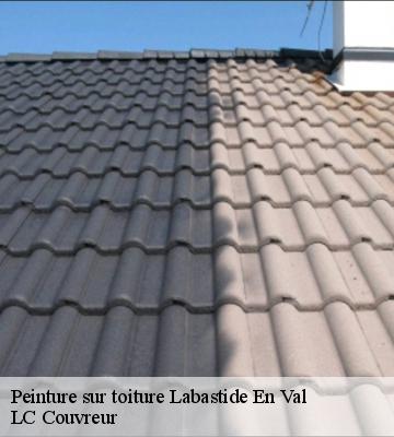 Peinture sur toiture