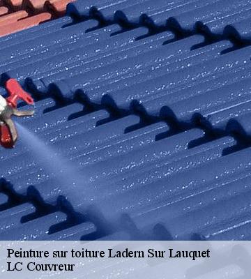 Peinture sur toiture