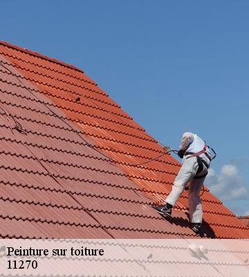Peinture sur toiture
