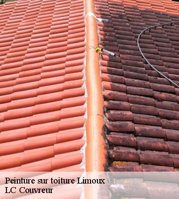 Peinture sur toiture
