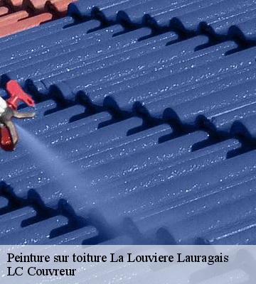 Peinture sur toiture