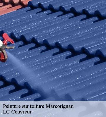 Peinture sur toiture