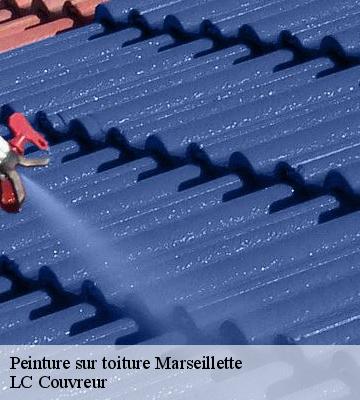 Peinture sur toiture