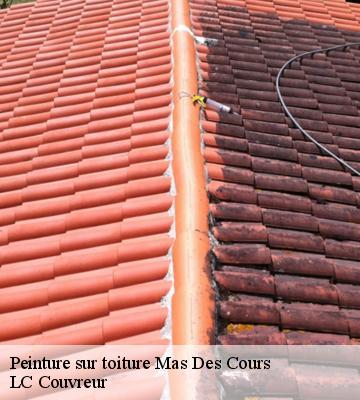 Peinture sur toiture