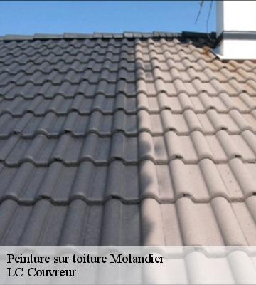Peinture sur toiture