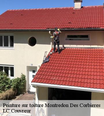 Peinture sur toiture