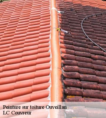Peinture sur toiture
