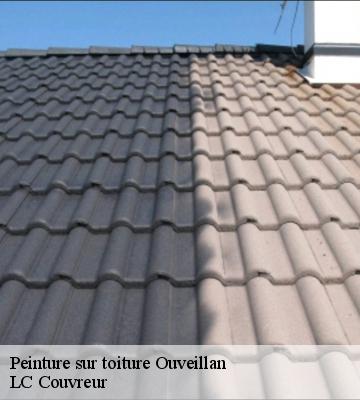 Peinture sur toiture
