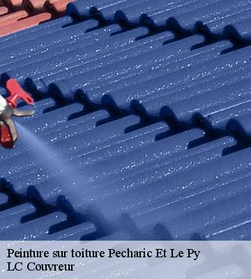Peinture sur toiture