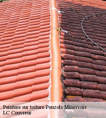 Peinture sur toiture