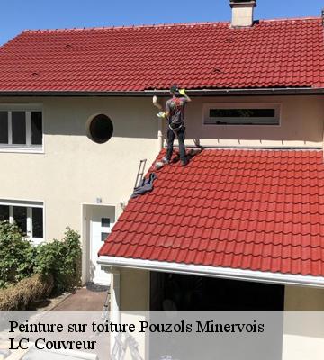 Peinture sur toiture
