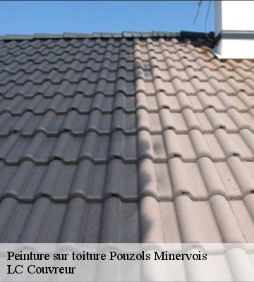 Peinture sur toiture