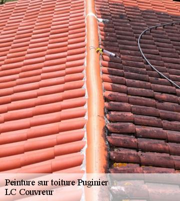 Peinture sur toiture