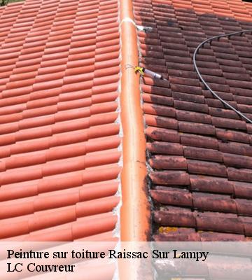 Peinture sur toiture