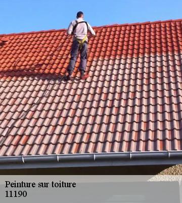 Peinture sur toiture