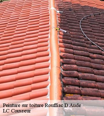 Peinture sur toiture