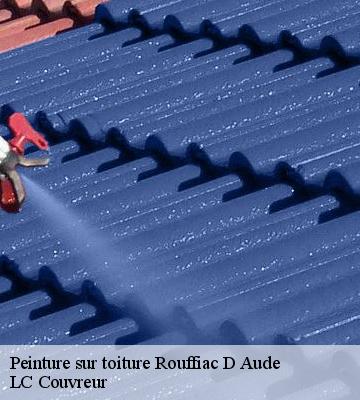Peinture sur toiture